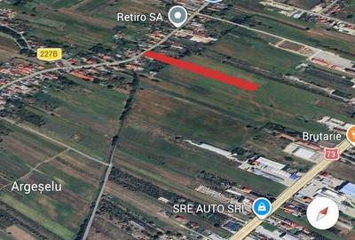 Teren de 9097 mp, în Mărăcineni