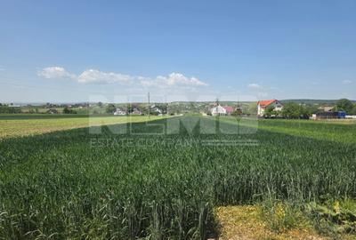 Teren agricol extravilan de 2600 mp, în Mitocu Dragomirnei - 6