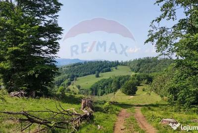 Teren de 128948 mp, în Munteni - 13