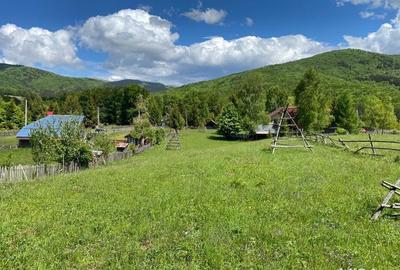 Teren de 2300 mp, în Trăisteni - 3