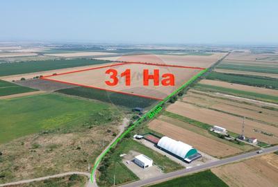Teren agricol extravilan de 315258 mp, în Vânători - 1