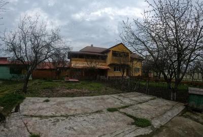 Casă cu 2 camere cu Canalizare în Daia - 3