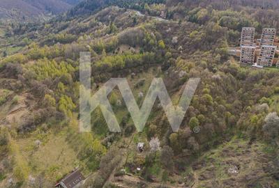 Teren Construcții intravilan de 9102 mp, în Drumul Poienii - 9