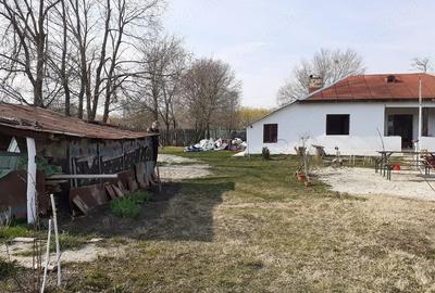 Casă cu Teren 1592 Mp în Schitu - 7