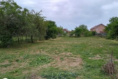 Casă cu 4 camere cu Teren 1300 Mp în Șicula - 5