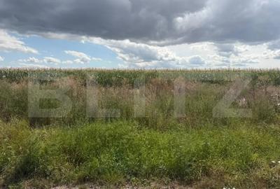 Teren în Central