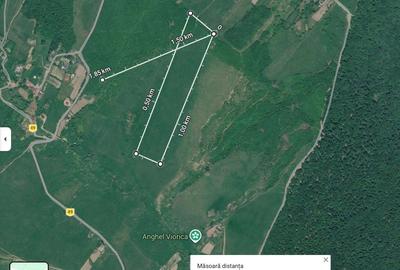 Teren de 65000 mp, în Mironeasa