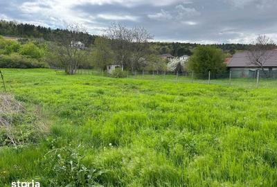 Teren de 5840 mp, în Tomești