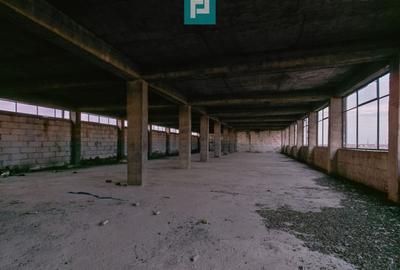 Spațiu industrial, de 6,672 mp, în Freidorf - 18