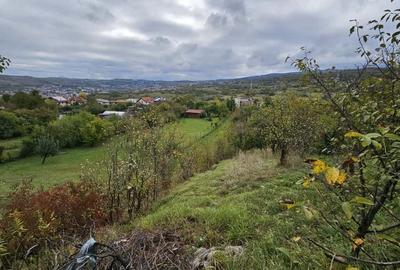 Teren Construcții intravilan de 2175 mp, în Borhanci - 8