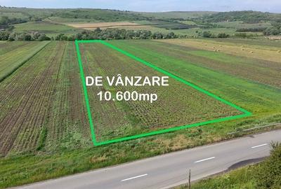 Teren de 10600 mp, în Borșa - 5
