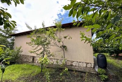 Casă cu 4 camere cu Teren 1700 Mp în Pietroasele - 1