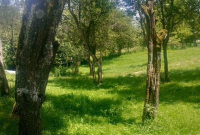 Casă cu 3 camere în Peleș - 8