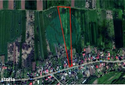 Teren de 16534 mp, în Gruiu - 1