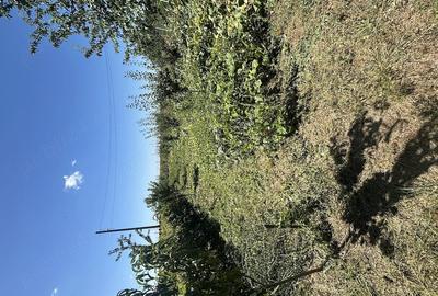 Casă cu Teren 1700 Mp în Padina