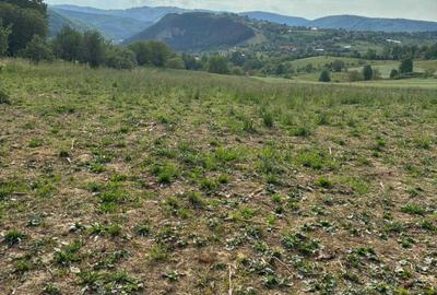 Teren de 4500 mp, în Bălnaca