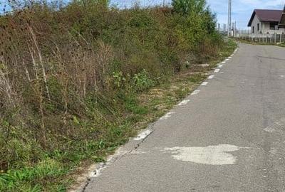 Teren Construcții intravilan de 2900 mp, în Crișeni - 7