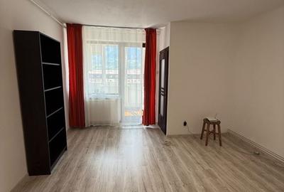 Garsonieră semidecomandată în Timișu de Jos - 5