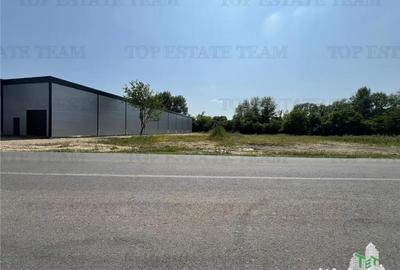 Spațiu comercial, de 435 mp, în Ulmi - 18
