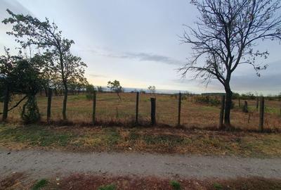 Teren de 1739 mp, în Padina