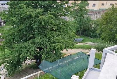 Casă cu 3 camere cu Teren 1000 Mp în Central - 3