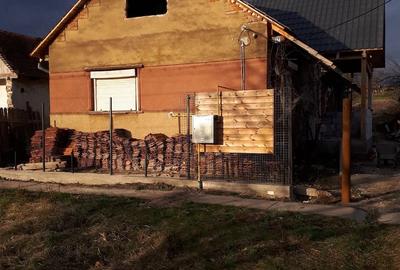 Casă cu Teren 2800 Mp în Central