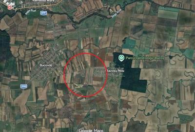 Teren agricol intravilan de 40600 mp, în Bucovăț (Remetea Mare) - 1