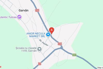 Casă individuală cu 5 camere cu Teren 2582 Mp în Garvăn - 2