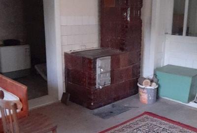 Casă cu 2 camere cu Teren 1567 Mp în Băița - 13