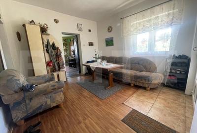 Casă individuală cu 4 camere cu Teren 6000 Mp în Bocșa