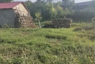 Casă cu 2 camere în Tansa - 6