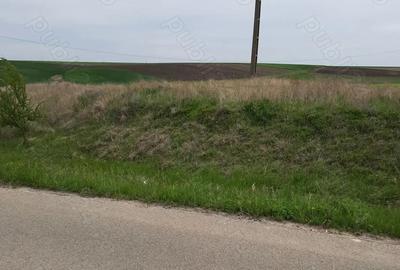 Teren de 5000 mp, în Pielești - 2