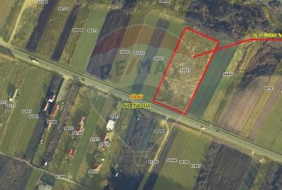 Teren Construcții intravilan de 9000 mp, în Gilău - 6