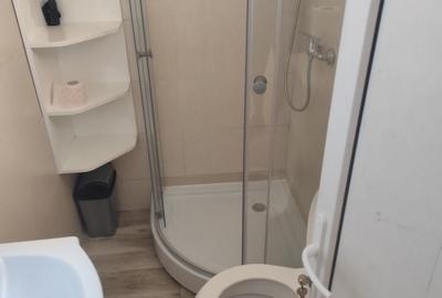 Apartament cu 2 camere semidecomandat în Brusturi - 4