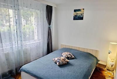 Apartament cu 2 camere nedecomandat, mobilat în Centrul Civic