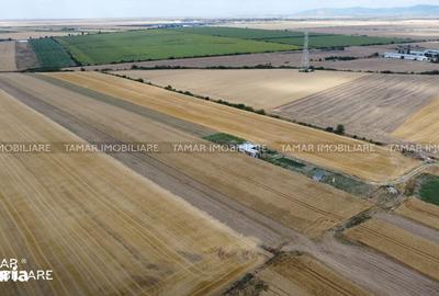 Teren de 10000 mp, în Central