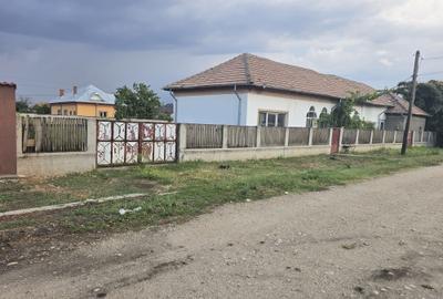 Casă cu 3 camere în Central