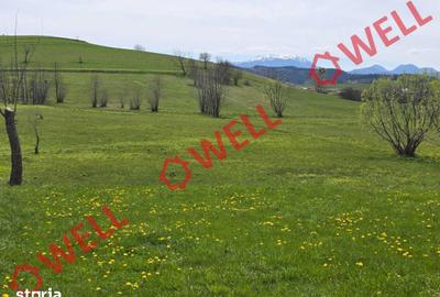 Teren de 6519 mp, în Barcani - 2