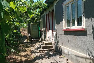 Casă cu Teren 4800 Mp în Mihail Kogălniceanu - 5
