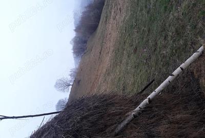 Teren de 11606 mp, în Vișagu - 2