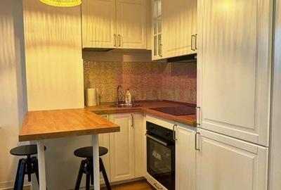 Apartament cu 2 camere nedecomandat, mobilat în Pipera - 6