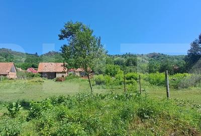 Teren de 1000 mp, în Ucea - 4