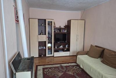 Casă individuală cu 3 camere cu Teren 1263 Mp în Dileu Nou - 4