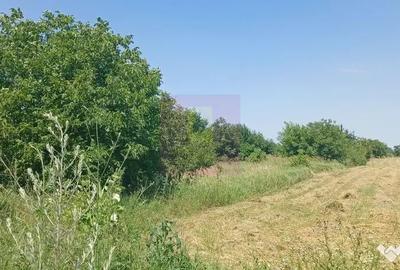 Teren în Săbăreni