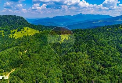 Teren de 7000 mp, în Gârcini