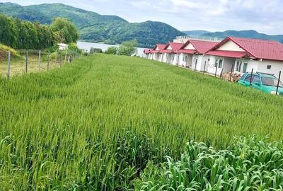 Teren de 900 mp, în Gornea