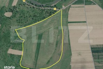 Teren de 246000 mp, în Crăciunelu de Jos