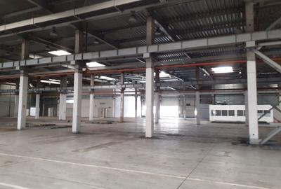 Spațiu industrial, de 2,920 mp, în Timișoara - 3