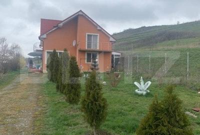 Casă individuală cu 6 camere cu Teren 2800 Mp în Gădălin - 13