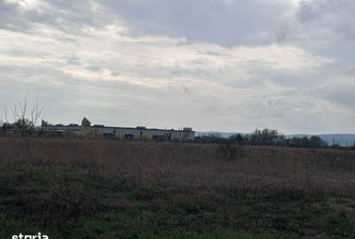 Teren de 26112 mp, în Ernei